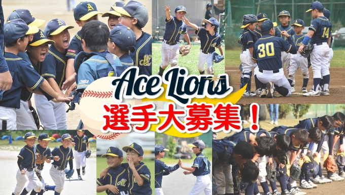 エースライオンズ メイン画像2