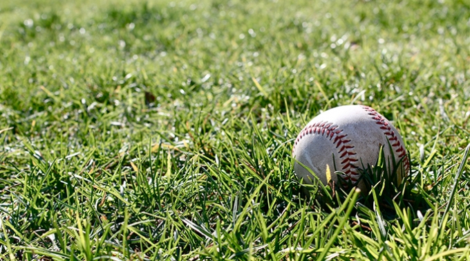 秋田リトルシニア メイン画像1