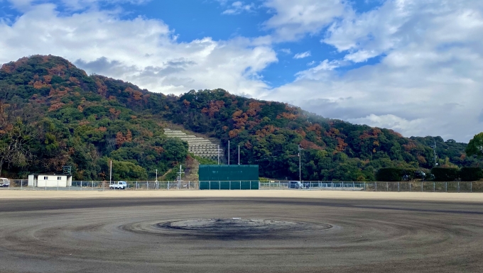 有田リトルシニア メイン画像4