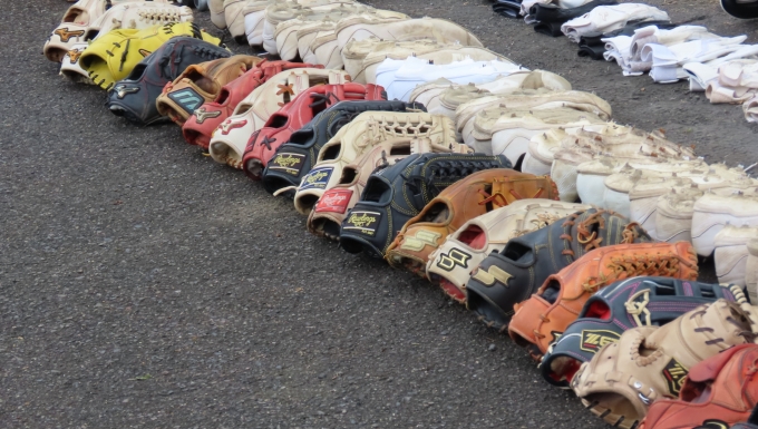 ヤング鹿児島ジャイアンツ メイン画像5