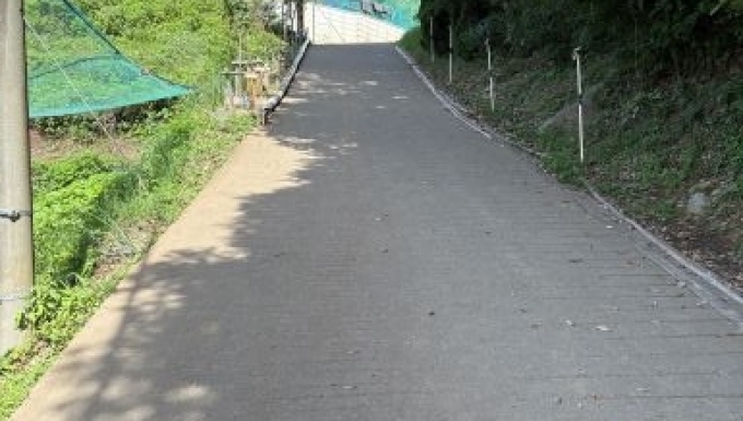 小田原足柄リトルシニア メイン画像4