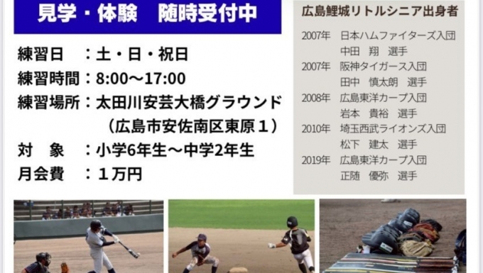 広島鯉城リトルシニア メイン画像3