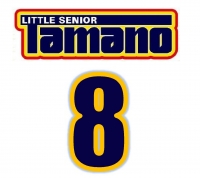 8 　浅沼　颯太