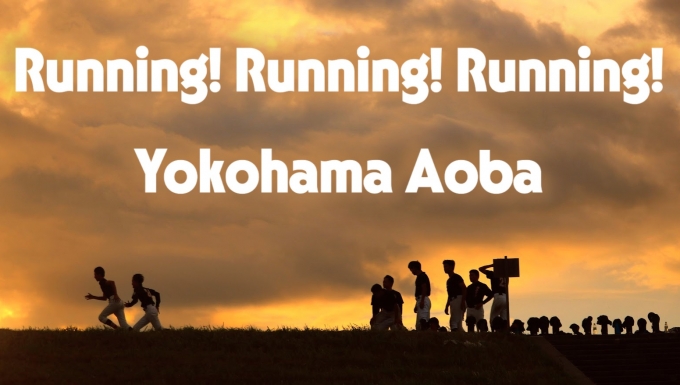 横浜青葉リトルシニア メイン画像2