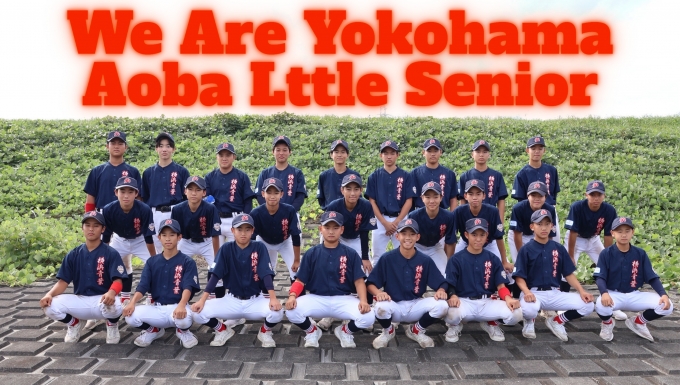 横浜青葉リトルシニア メイン画像3