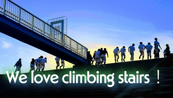 横浜青葉リトルシニア メイン画像4